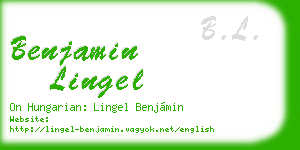 benjamin lingel business card